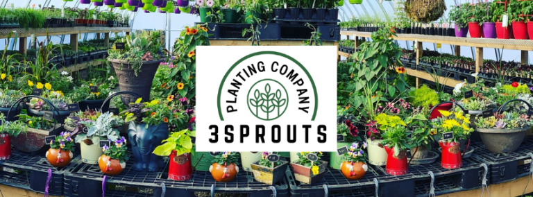 3 Sprouts Planting Company 1 768x284