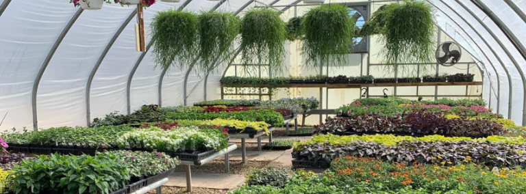 Brightwater Greenhouse 768x284