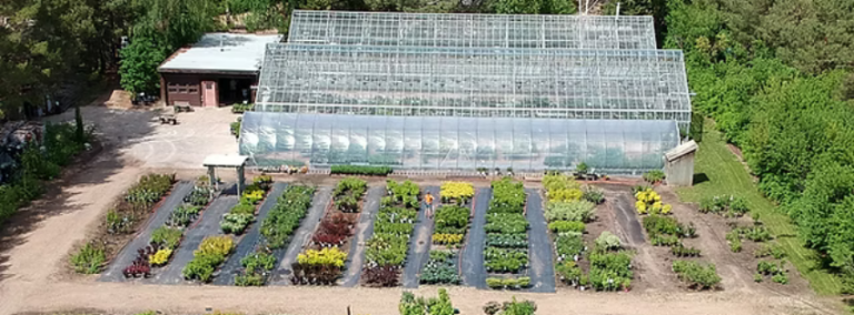 Dieter Martin Greenhouse Ltd 768x284