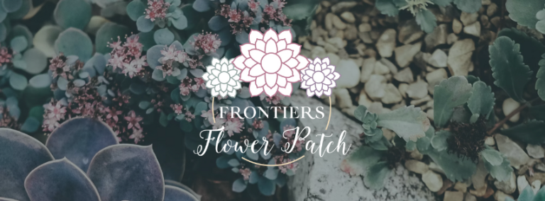 Frontiers Flower Patch 768x284