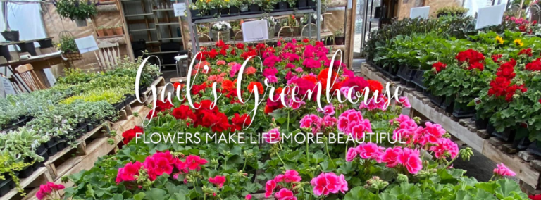 Gails Greenhouse 768x284