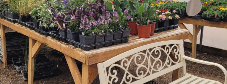 Little Country Greenhouse 768x284