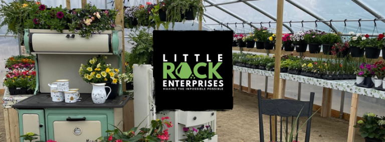 Little Rock Enterprises Inc 768x284