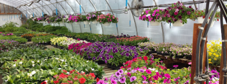 Maunder Greenhouse 768x284
