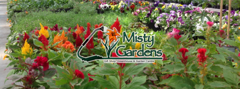 Misty Gardens 768x284