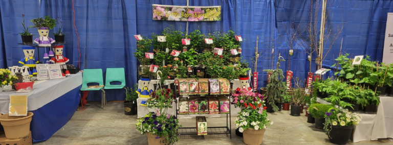 Pegs Country Blooms Greenhouse 768x284