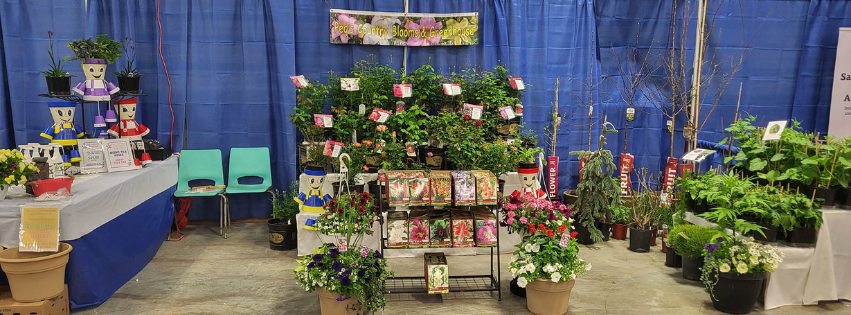 Peg's Country Blooms & Greenhouse