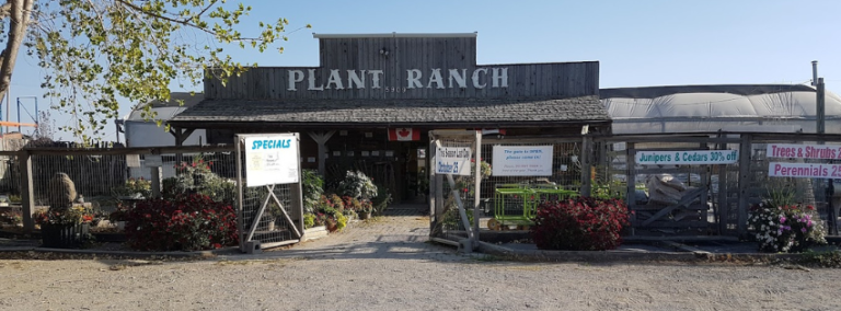 Plant Ranch Inc 768x284