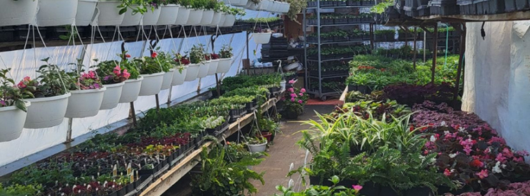 Redcoat Greenhouses and Gardens 768x284