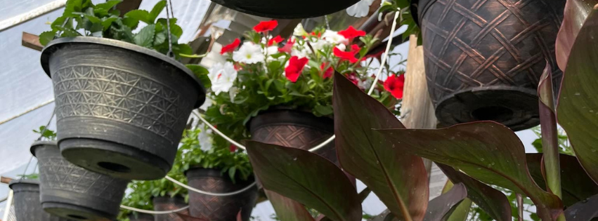 Rosebud Greenhouse