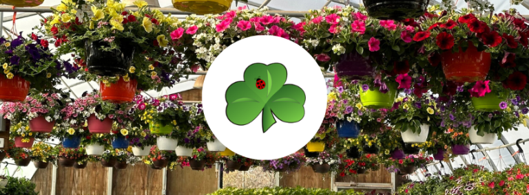 Shamrock Greenhouse Nursery 768x284
