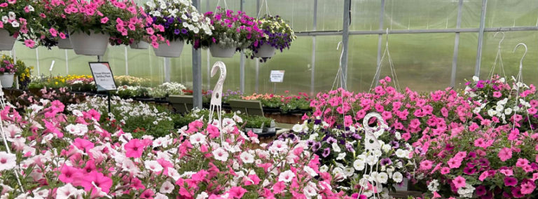 Sunshine Acres Greenhouse 768x284