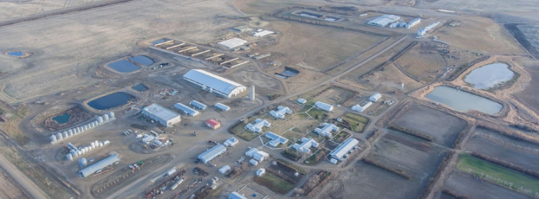 Hodgeville Farming Company 768x284