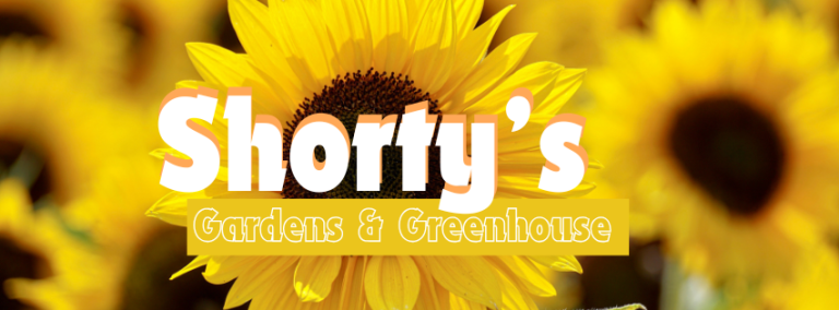 Shortys Gardens Greenhouse 768x284